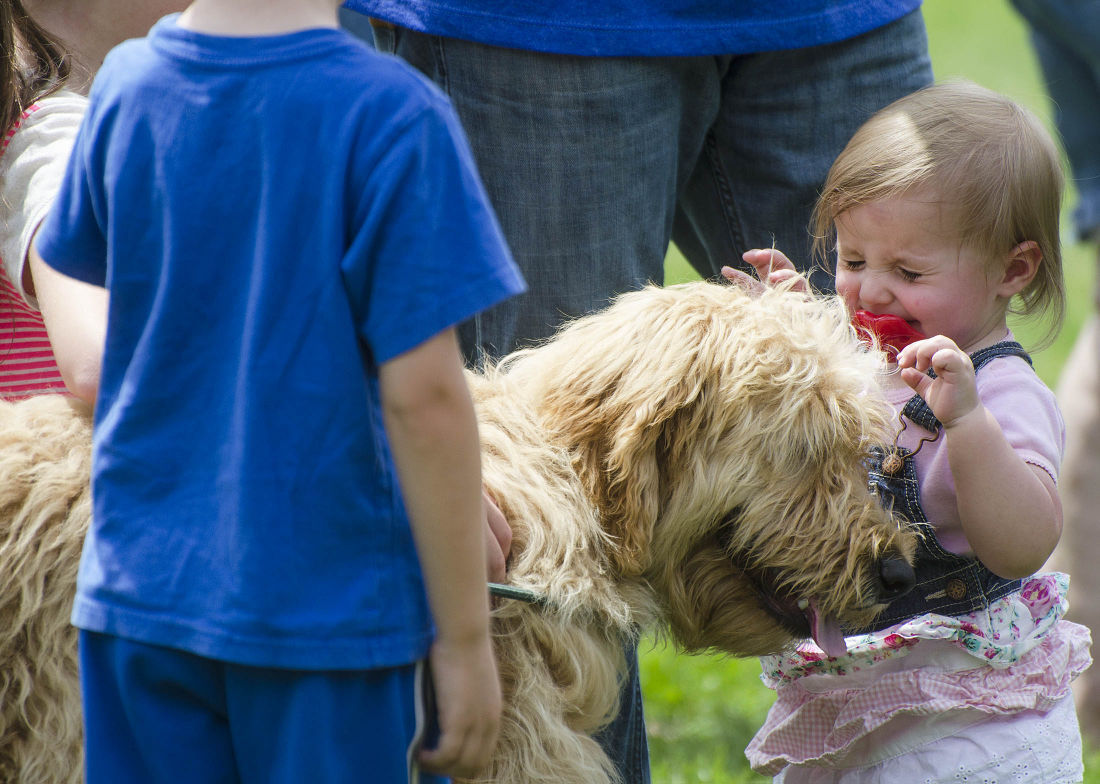 062215-nws-woofstock09.jpg